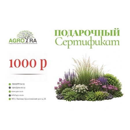 Сертификат 1000 Р