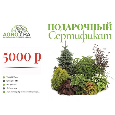Сертификат 5000 Р