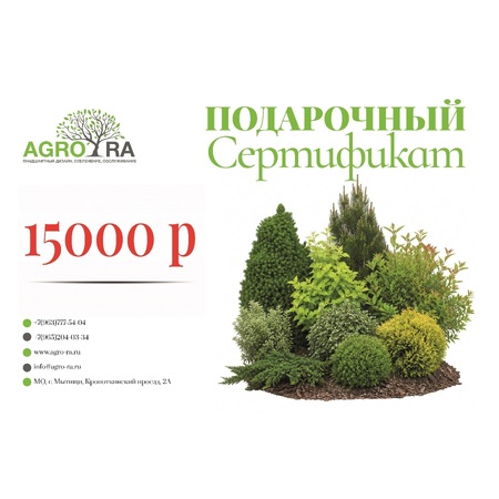 Сертификат 15000 Р