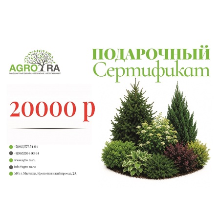 Сертификат 20000 Р