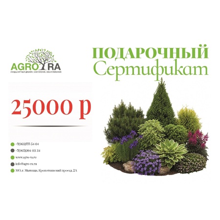 Сертификат 25000 Р