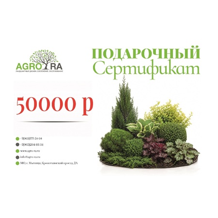 Сертификат 50000 Р