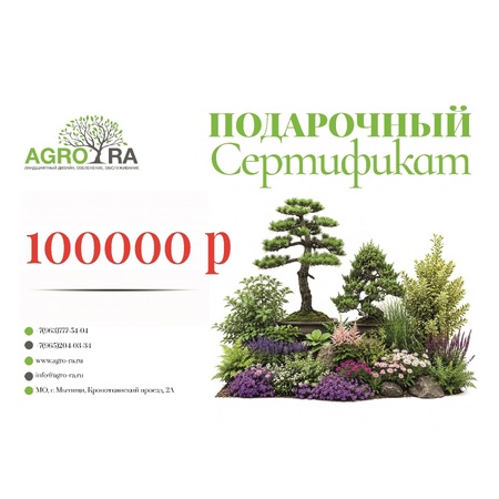 Сертификат 100000 Р